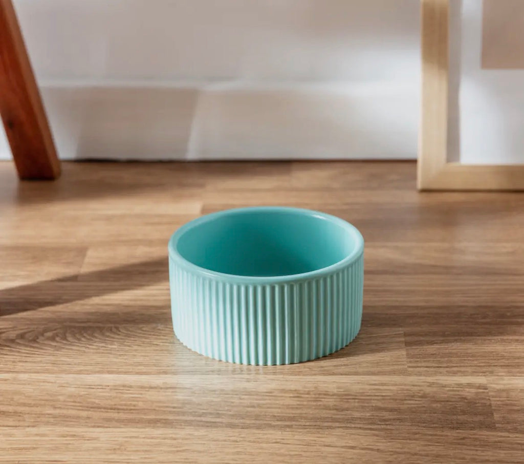 Pup Bowl